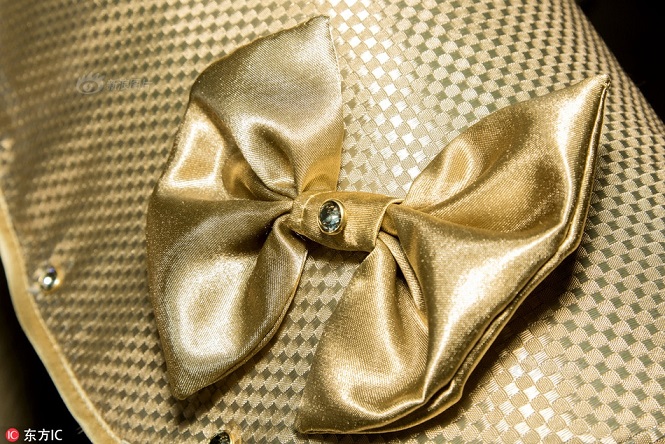 Áo dành cho thú cưng của hội nhà giàu có giá đắt ngang... biệt thự